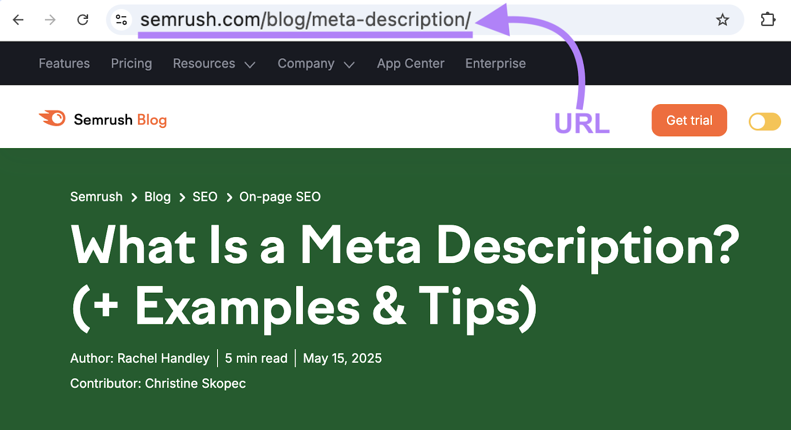 The URL in this example is status.econsuite.com/blog/meta-description.