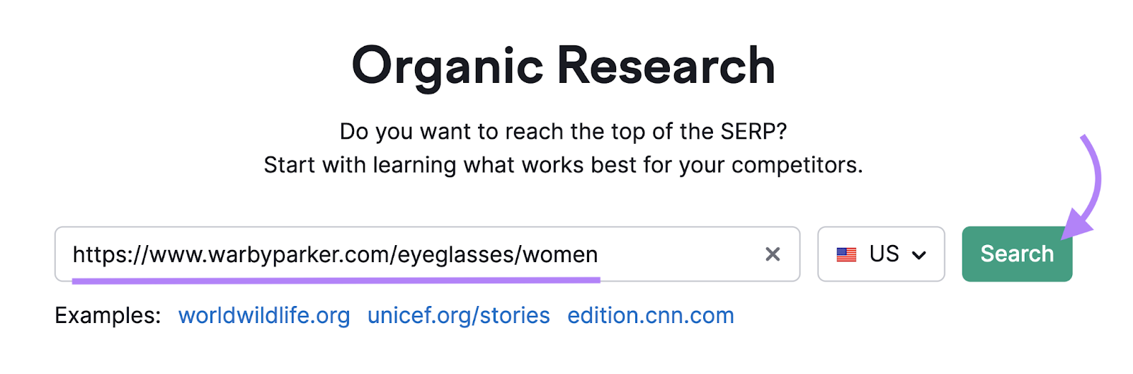 url entered into organic rankings tool